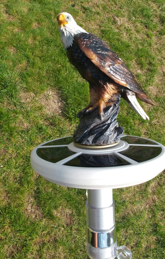 Eagle on display flagpole topper.